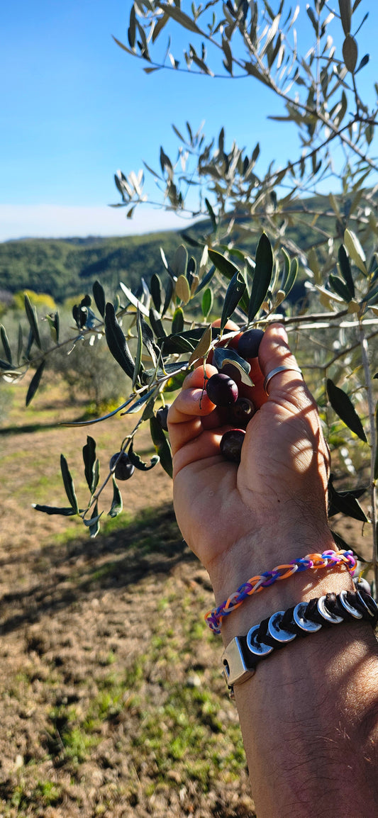 Why Extra Virgin Olive Oil Prices Increased in 2024: A Look at Southern Italy’s Challenges and Lucaniae’s Commitment to Fair Pricing